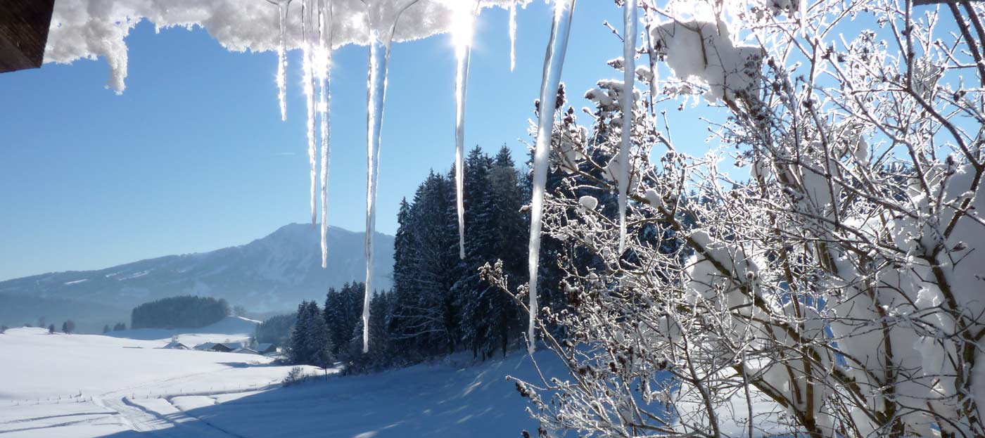 Herrliche Winter im Allgäu in glasklarer Luft