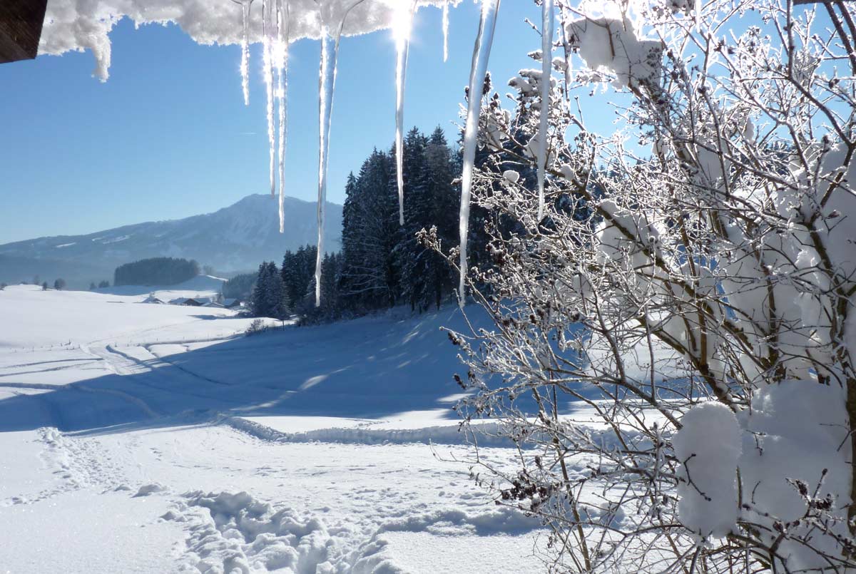 Eiszapfen