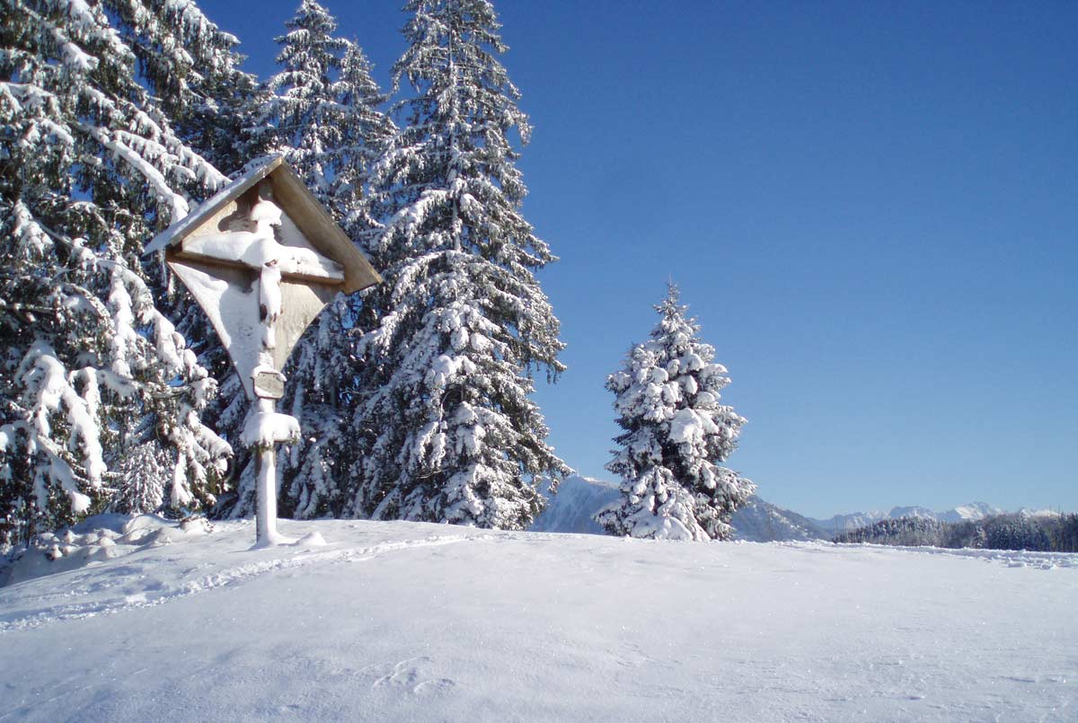 Wandern im Schnee