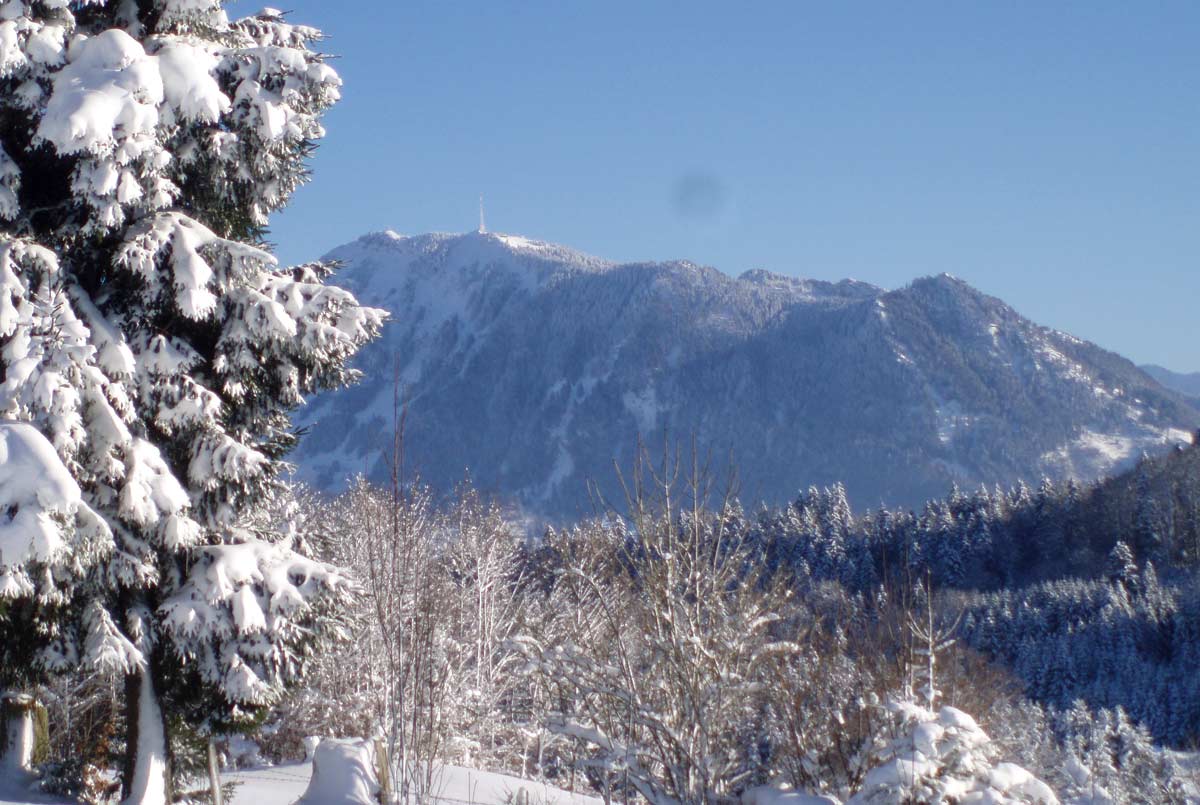 Grüntenblick
